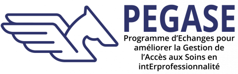 Logo Pegase